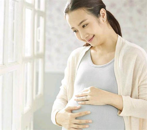排名榜靠谱助助孕中规试管上海正上海有哪些孕中心介公司